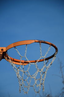 米兰体育官方下载-篮球运动员专项体能训练计划智能化设计与实施，篮球运动员体能训练的内容有哪些